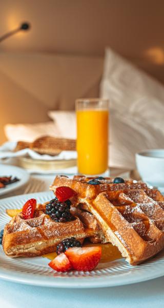 Tauranga Bed and Breakfast Accommodation