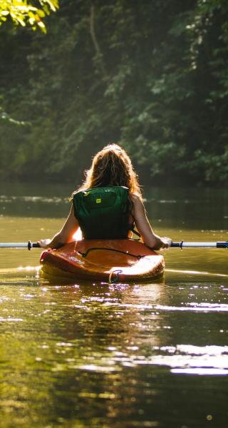 Kayaking Tauranga