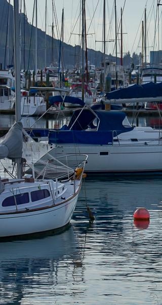 Tauranga Boat Shops