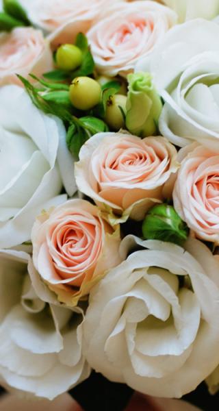 Tauranga Florists,New Zealand