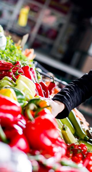 Tauranga Retail outlets for food and produce