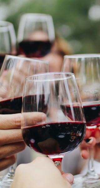 Winery Tours in Tauranga, New Zealand