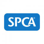 SPCA Tauranga