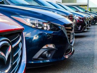 Car Rental Tauranga