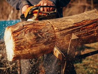 Chainsaws Tauranga
