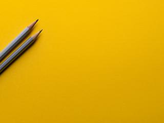 Employment Services Tauranga