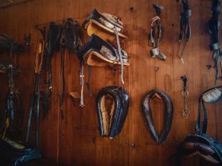 Equestrian Supplies Tauranga