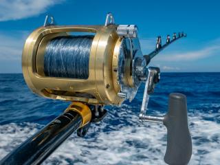 Fishing in Tauranga, New Zealand