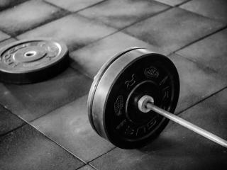 Gyms in Tauaranga, New Zealand
