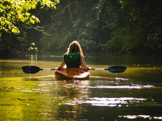 Kayaking Tauranga