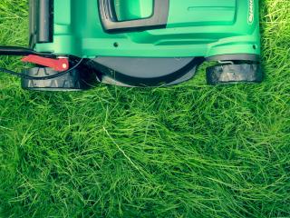 Lawn mowing & Garden Maintenance Tauranga