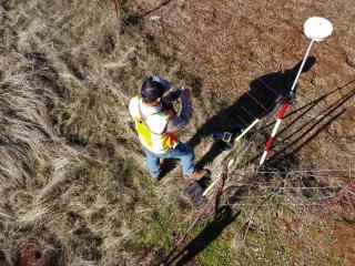 Surveyors Tauranga