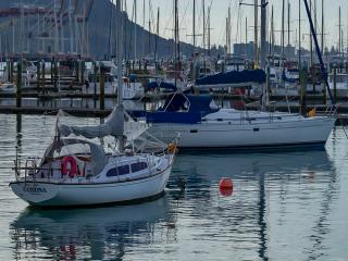 Tauranga Boat Shops