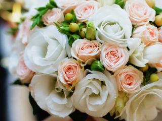 Tauranga Flower and Florist Shops