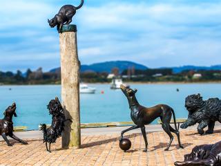 Tauranga Family Attractions, Hairy McCleary