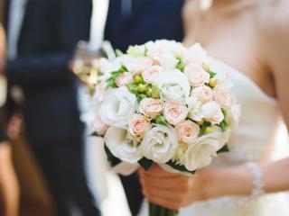 Weddings in Tauranga, New Zealand