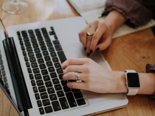 Book Online, Tauranga