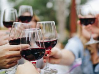 Winery Tours in Tauranga, New Zealand