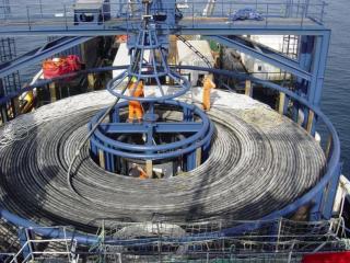 Acme Engineering Tauranga
