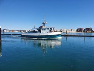 Blue Ocean Charters Ltd Tauranga
