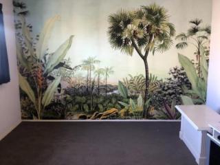 Wall Paper Feature Walls