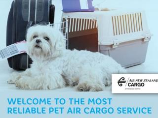 Pet Cargo Service
