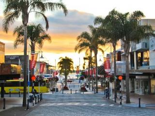 Tauranga Events