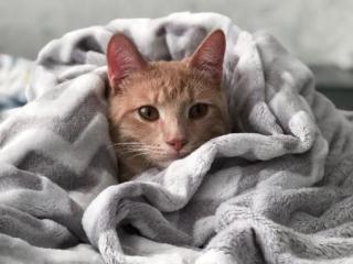 SHORT TERM AND LONG TERM STAYS