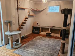 SOCIAL MULTI CAT ENCLOSURE