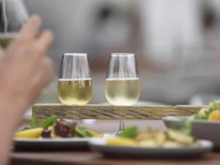 Taste of Plenty, Food & Wine Tours Tauranga