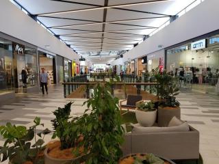 Clothing & Fashion Stores