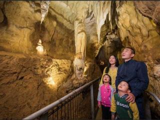 Waitomo Tours