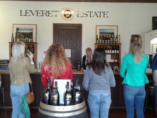 Wine Tours