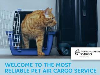 Pet Transport