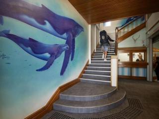 Wanderlust Tauranga