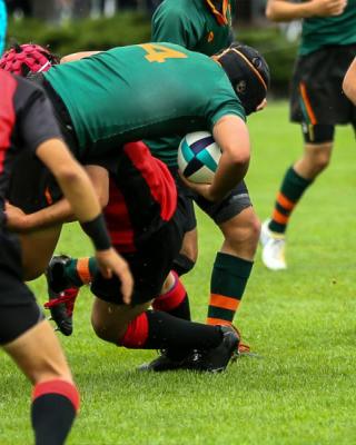 Tauranga Sports Clubs & Societies