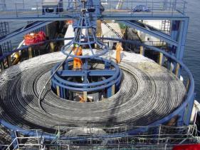 Acme Engineering Tauranga