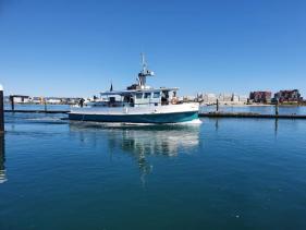 Blue Ocean Charters Ltd Tauranga