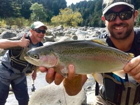 Your Guide, Chris Bignell