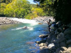 Fishing Tributaries, Bay of Plenty