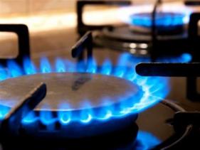 Gasfitting, Tauranga