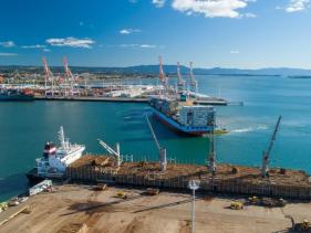 Port of Tauranga