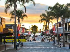 Tauranga Events