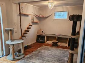 SOCIAL MULTI CAT ENCLOSURE