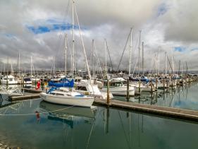 Tauranga Tide Times, Charts & Forecast