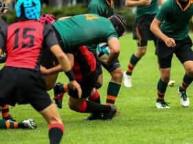 Tauranga Sports Clubs & Societies