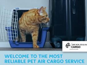 Pet Transport