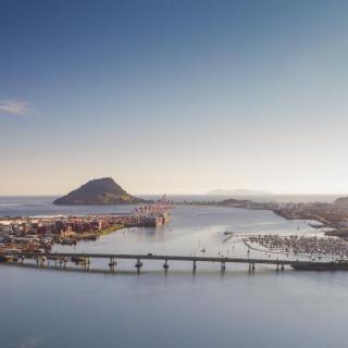 Tauranga Local Attractions